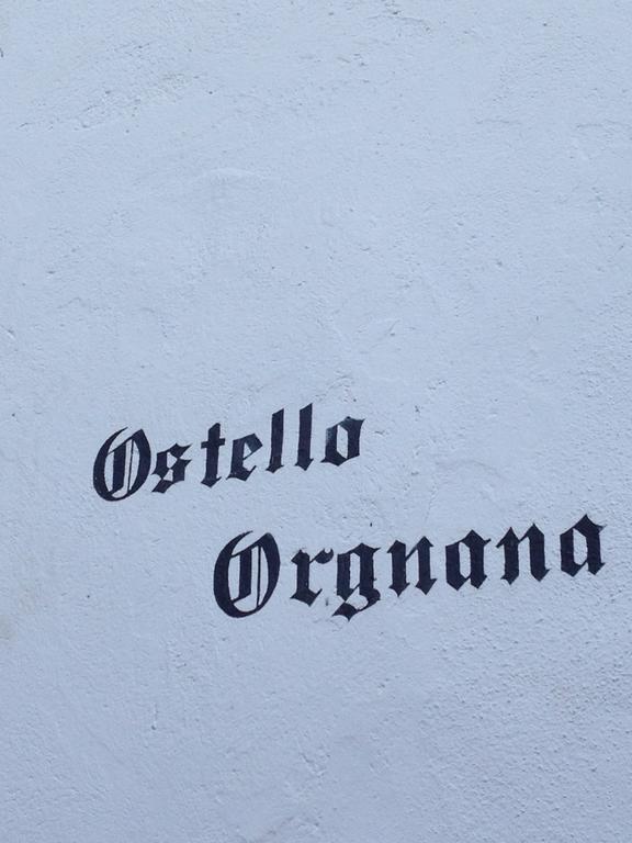 Ostello Orgnana Gambarogno Екстер'єр фото